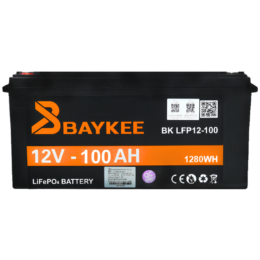Baykee 12V 100A