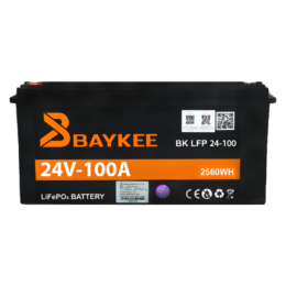 Baykee 24V 100A