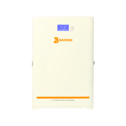 Baykee 48V 100A